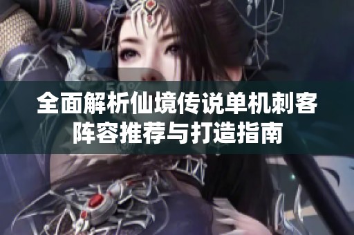 全面解析仙境传说单机刺客阵容推荐与打造指南