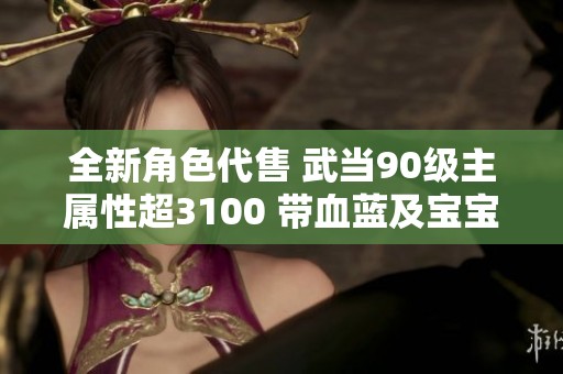 全新角色代售 武当90级主属性超3100 带血蓝及宝宝助战