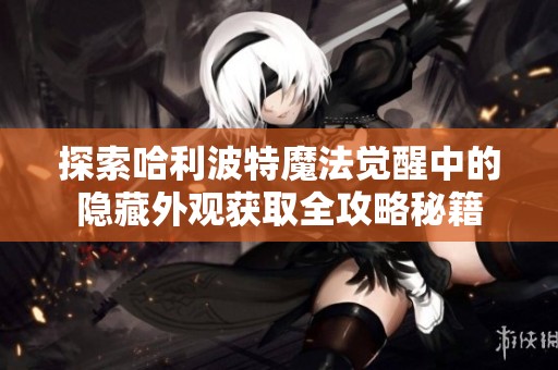探索哈利波特魔法觉醒中的隐藏外观获取全攻略秘籍