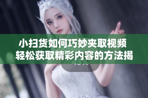 小扫货如何巧妙夹取视频 轻松获取精彩内容的方法揭秘