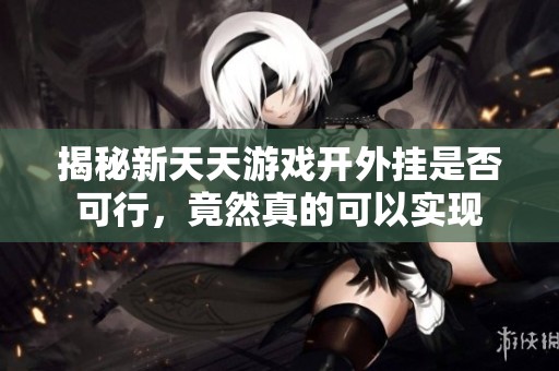 揭秘新天天游戏开外挂是否可行，竟然真的可以实现