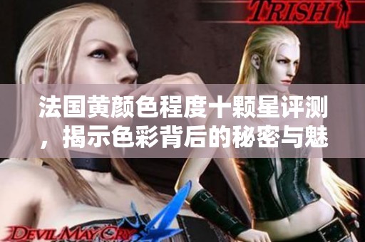 法国黄颜色程度十颗星评测，揭示色彩背后的秘密与魅力