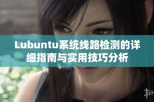 Lubuntu系统线路检测的详细指南与实用技巧分析