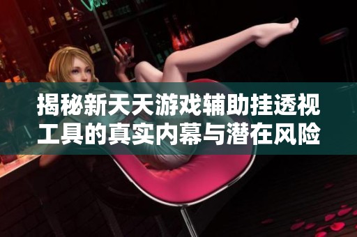 揭秘新天天游戏辅助挂透视工具的真实内幕与潜在风险