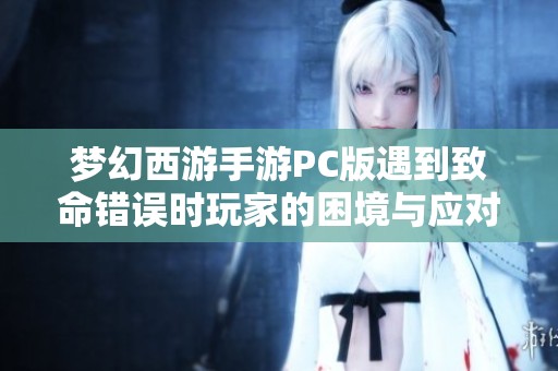 梦幻西游手游PC版遇到致命错误时玩家的困境与应对策略解析