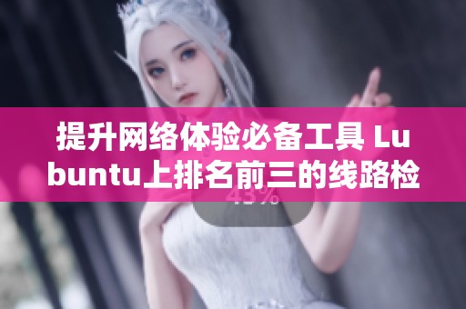 提升网络体验必备工具 Lubuntu上排名前三的线路检测软件推荐