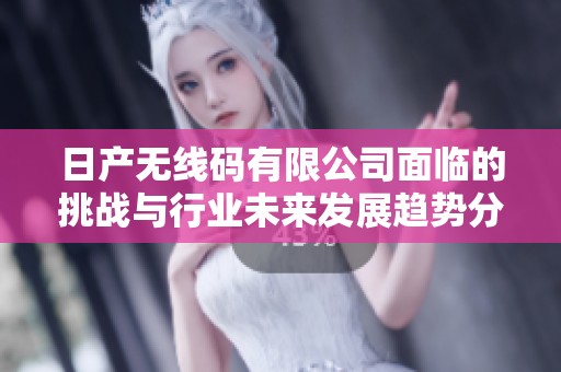 日产无线码有限公司面临的挑战与行业未来发展趋势分析