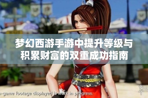 梦幻西游手游中提升等级与积累财富的双重成功指南