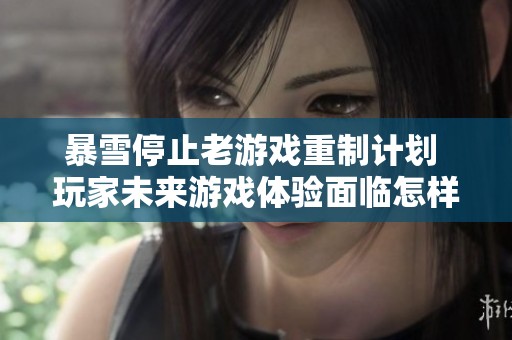 暴雪停止老游戏重制计划 玩家未来游戏体验面临怎样新挑战