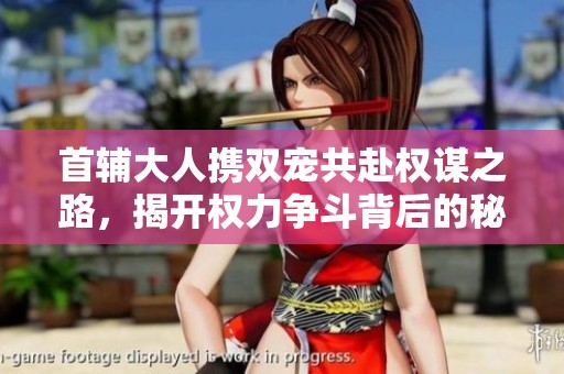 首辅大人携双宠共赴权谋之路，揭开权力争斗背后的秘密