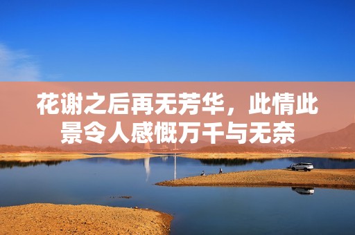 花谢之后再无芳华，此情此景令人感慨万千与无奈