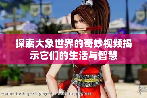 探索大象世界的奇妙视频揭示它们的生活与智慧