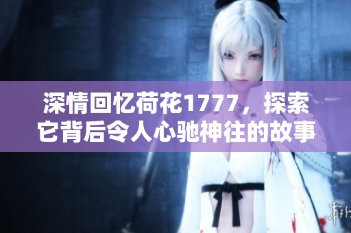 深情回忆荷花1777，探索它背后令人心驰神往的故事与情感