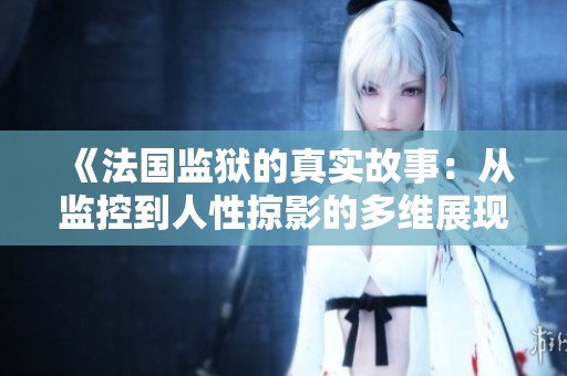 《法国监狱的真实故事：从监控到人性掠影的多维展现》