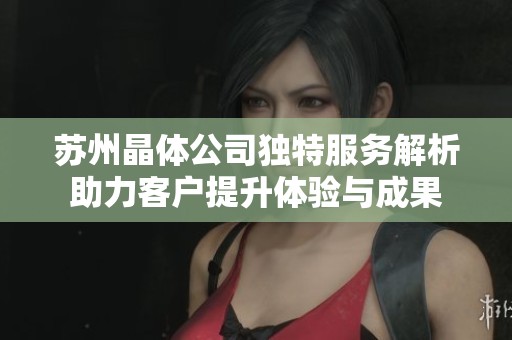 苏州晶体公司独特服务解析助力客户提升体验与成果