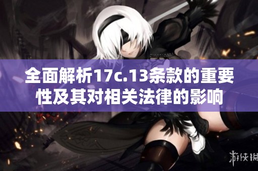 全面解析17c.13条款的重要性及其对相关法律的影响