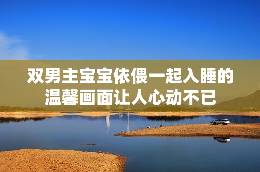 双男主宝宝依偎一起入睡的温馨画面让人心动不已