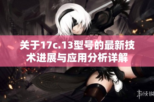 关于17c.13型号的最新技术进展与应用分析详解
