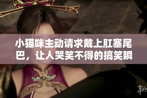小猫咪主动请求戴上肛塞尾巴，让人哭笑不得的搞笑瞬间