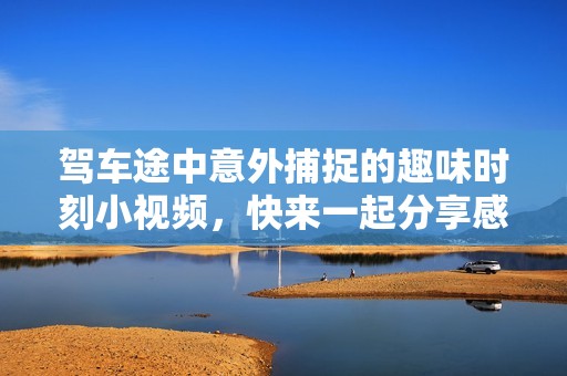 驾车途中意外捕捉的趣味时刻小视频，快来一起分享感动与欢乐