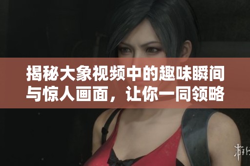 揭秘大象视频中的趣味瞬间与惊人画面，让你一同领略自然之美