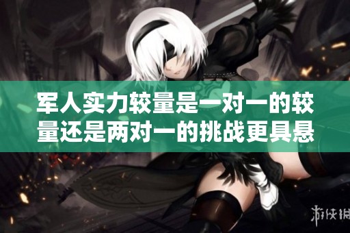 军人实力较量是一对一的较量还是两对一的挑战更具悬念呢