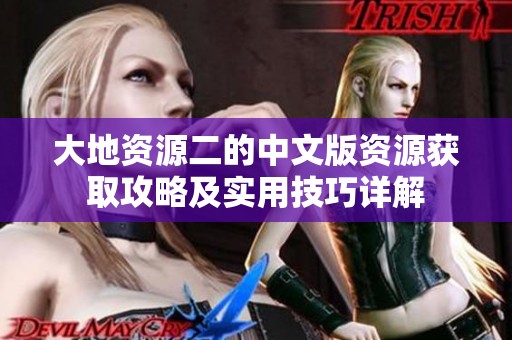 大地资源二的中文版资源获取攻略及实用技巧详解