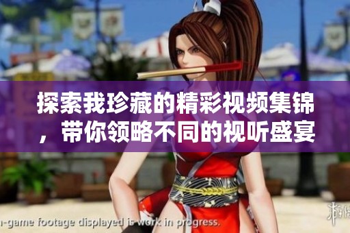 探索我珍藏的精彩视频集锦，带你领略不同的视听盛宴